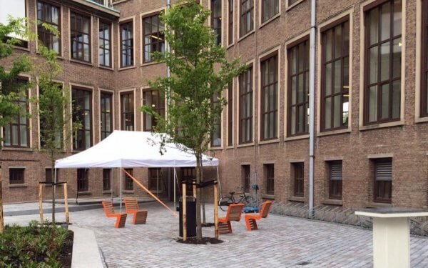 Festival Hogeschool Amsterdam